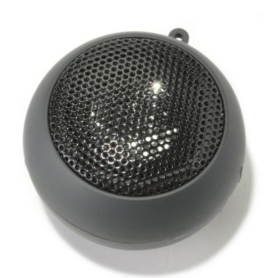 Speaker
