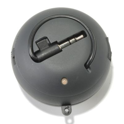 Speaker