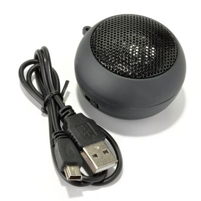 Speaker