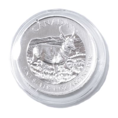 2013 1 OZ Silver Canadian Antelope BU (Display Box)