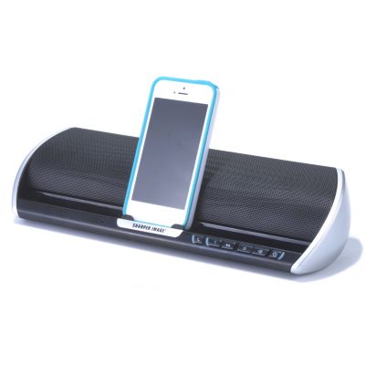 Speaker w/ iPhone