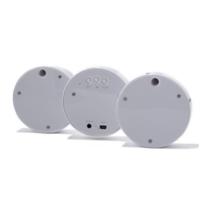 Speaker