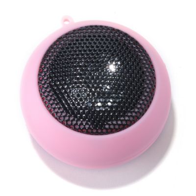 Speaker