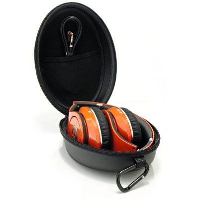 Case