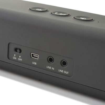 Speaker Back