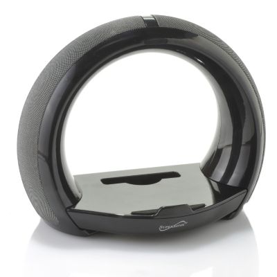 iPad Mini Speaker