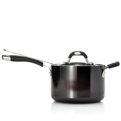 Sauce Pan w/ Fry Basket