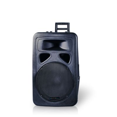 436-778 - Technical Pro 12'' Battery Powered PA System Dual w/  Wireless VHF Microphones
