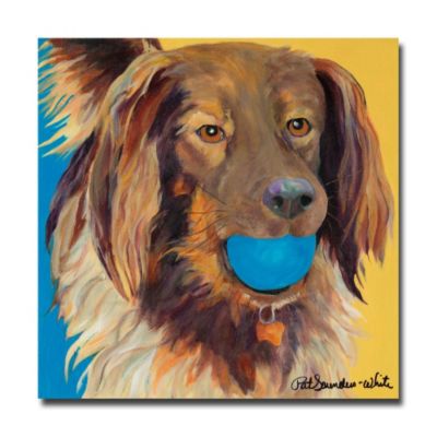 437-860 - Amos by Pat Saunders-White Ready to Hang Art
