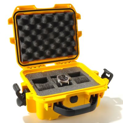 Dive Case