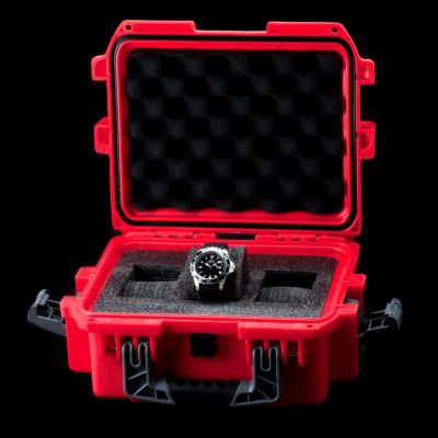 Invicta Men's Pro Diver