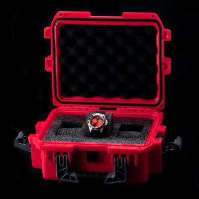 Invicta Men's Pro Diver