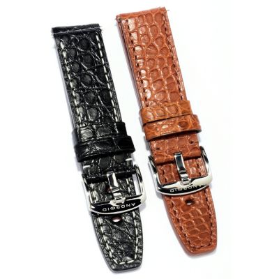 24mm Alligator Strap Set