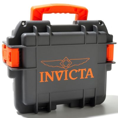 Case