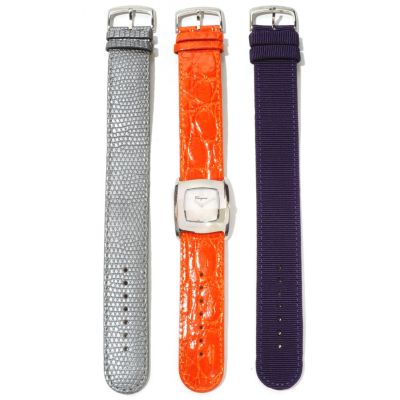 Ferragamo Women's Vara Swiss Made Quartz Strap Watch w/Extra Staps