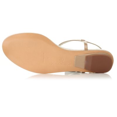 Sole