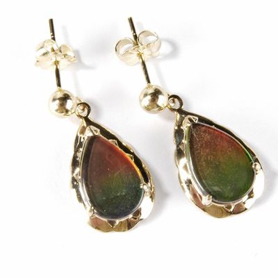 14K Gold Pear Shape Ammolite Earrings