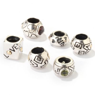 J316664 - Sterling Silver / 18K Gold Flower, Love or Religion Beads - Set of Six