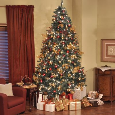 Thomas Pacconi Classics 6' Pre-lit Revolving Artificial Christmas Tree