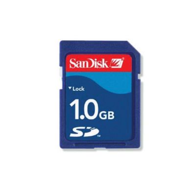 SanDisk 1GB SD Card