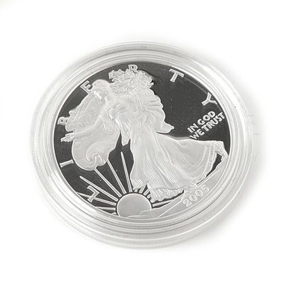2005 Silver American Eagle Proof