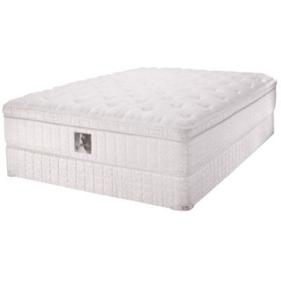 Vera Wang by Serta &reg; Sheer Beauty Eurotop Split Queen Mattress Set