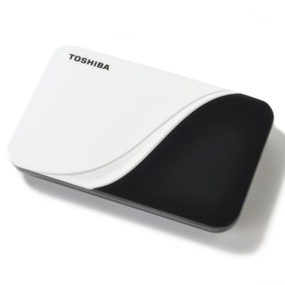 Toshiba Portable External 320GB Hard Drive