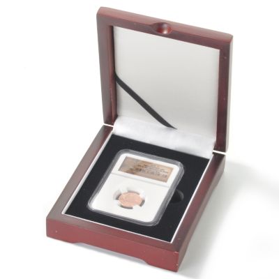 2009 "Professional Life" Lincoln Cent MS67 RD NGC First Day Issue w/ Box